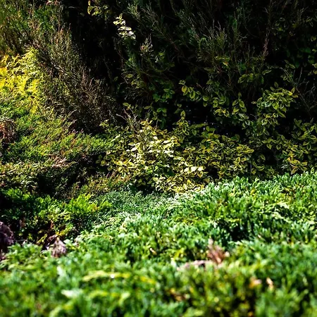 Miedzy Woda Holiday home Miedzywodzie