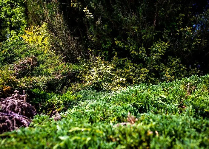 Miedzy Woda Holiday home Miedzywodzie